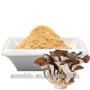 Polvo de alta calidad de Grifola Frondosa / de Maitake con precio competitivo